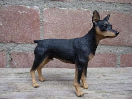 beeldje Dwergpincher black & tan