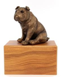 beeldje Engelse Bulldog bronskleur