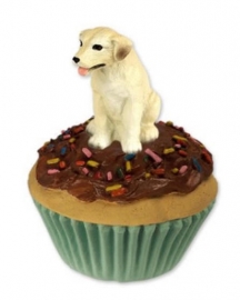 pupcake Labrador blond