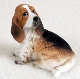 miniatuur Basset hound