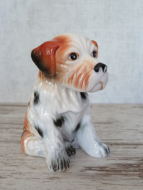 Terrierpup vintage