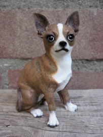 beeldje Chihuahua brindle