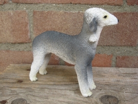beeldje Bedlington Terrier