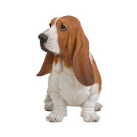 groot beeld Basset hound 53 cm