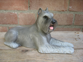 beeld Schnauzer grijs, gecoupeerd