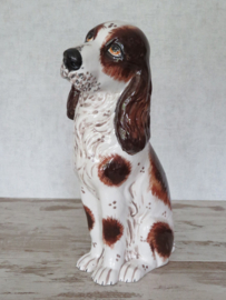 vintage beeld Engelse Springer spaniel