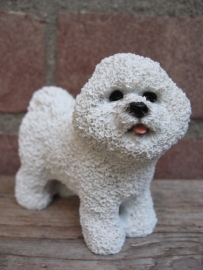 beeldje Bichon Frise