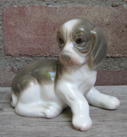 beeldje Beagle puppy