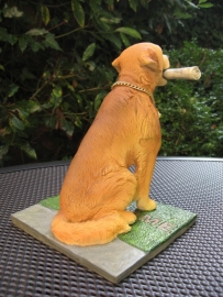 zittende Golden Retriever op deurmat