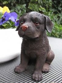 beeldje Labrador chocolate puppy