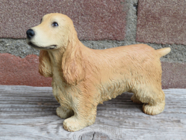 beeldje Engelse Cocker spaniel blond