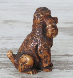 miniatuur Poedel bruin