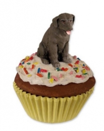 pupcake Labrador chocolate