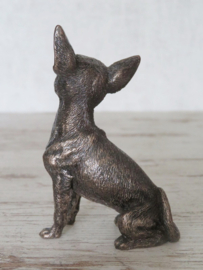 beeldje Chihuahua korthaar brons