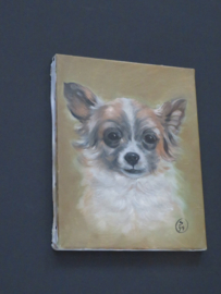 canvas reproductie Chihuahua langhaar