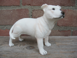 beeldje Staffordshire Bull Terriër wit