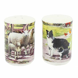 peper- en zoutstel Border Collie met schapen