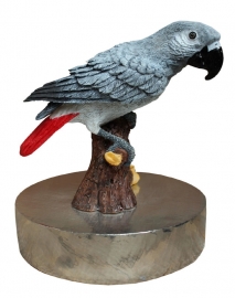 zilvertinnen urn Grijze Roodstaart papegaai