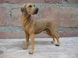 beeldje Duitse Dog fawn