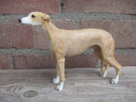 beeldje Greyhound tan-wit