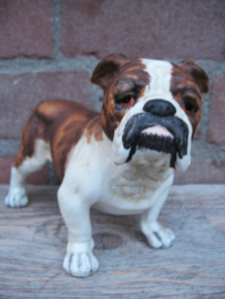 beeldje Engelse Bulldog vintage