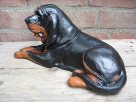 beeld Bloedhond black & tan donker