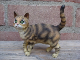 Kattenbeeldje / poezenbeeldje bruin tabby staand