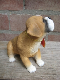 beeldje Boxer pup