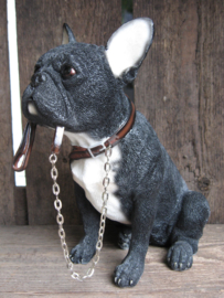 beeldje Franse Bulldog met riem zittend zwart