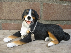 beeldje Berner Sennenhond