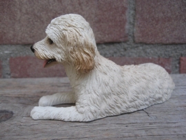 beeldje Labradoodle blond