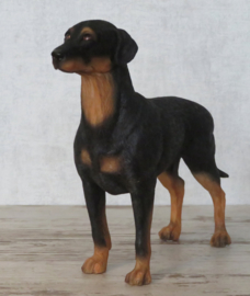 beeldje Dobermann staand