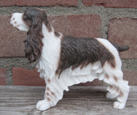 beeldje Engelse Cocker spaniel bruin-wit