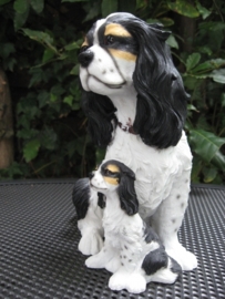 beeld Cavalier King Charles met pup tricolour