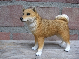 beeldje Shiba Inu