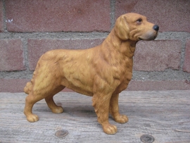 beeldje Golden Retriever vintage