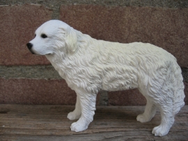 beeldje Pyreneese Berghond