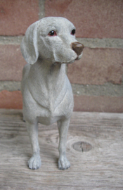 beeldje Weimaraner