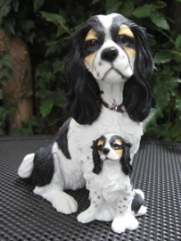 beeld Cavalier King Charles met pup tricolour