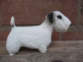 beeldje Sealyham Terrier