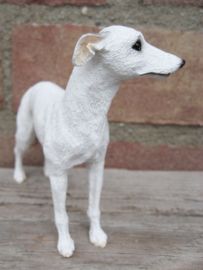 beeldje Whippet wit