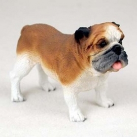 beeldje Engelse Bulldog bruin/wit