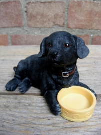 beeldje Labrador zwart met voerbakje