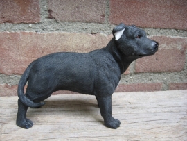 beeldje Staffordshire Bull Terriër zwart