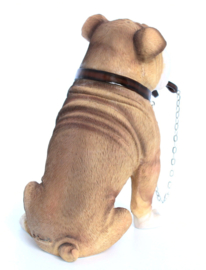 beeldje Engelse Bulldog met riem zittend