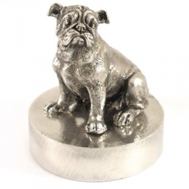 sculptuur Engelse Bulldog zilvertin