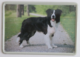 metalen bordje Border Collie