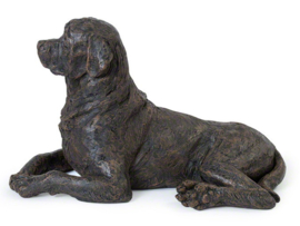asbeeld/urn Rottweiler | 48 cm