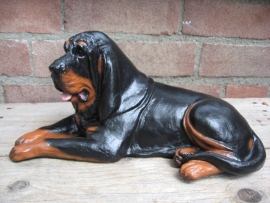 beeld Bloedhond black & tan donker