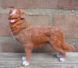 beeldje Nova Scotia Duck Tolling Retriever